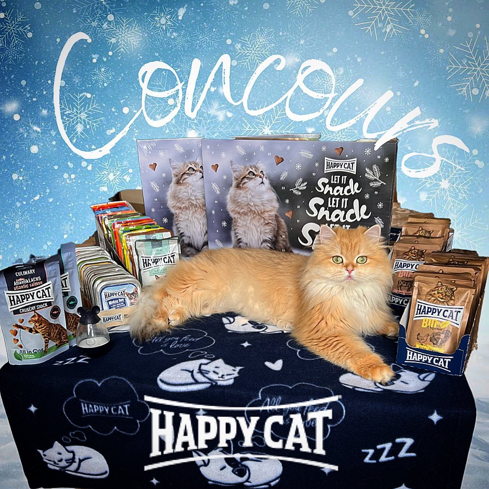 Instagram contest