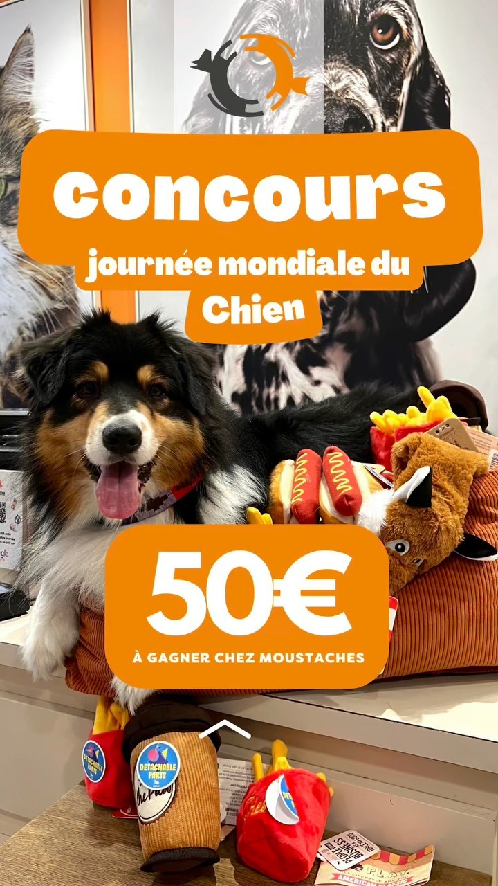 Instagram contest
