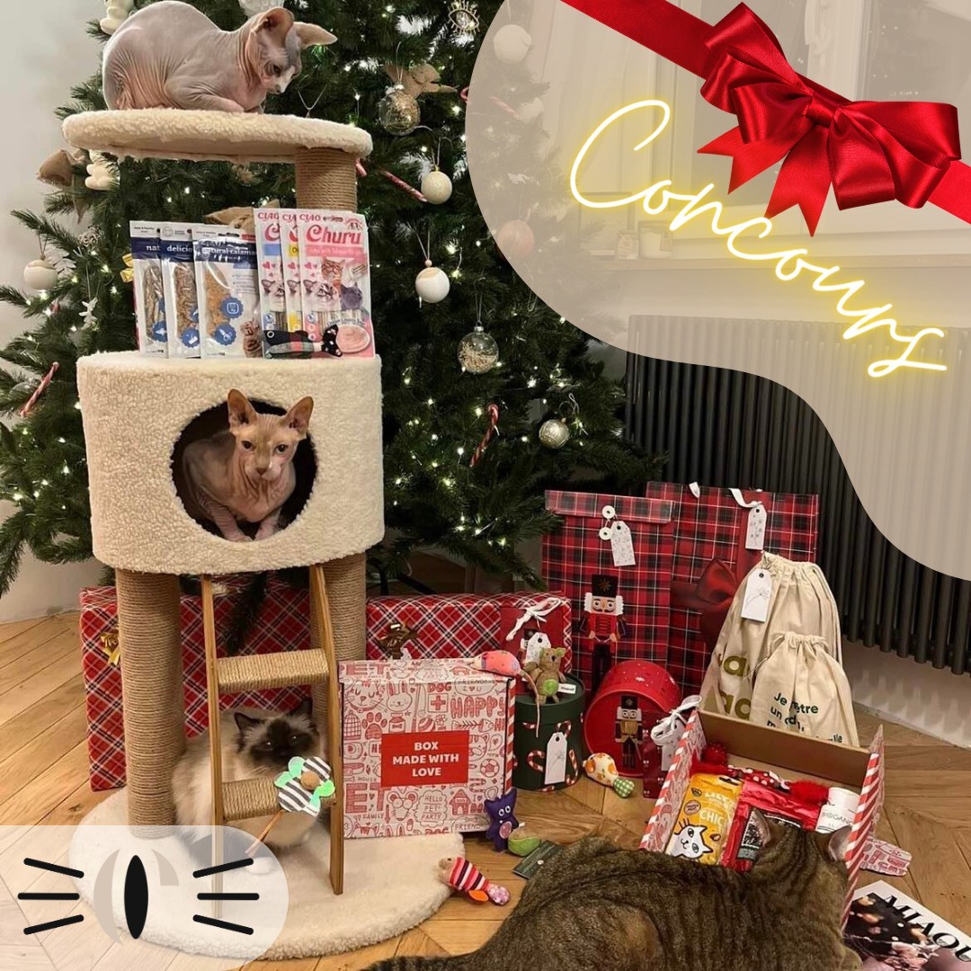 Instagram contest