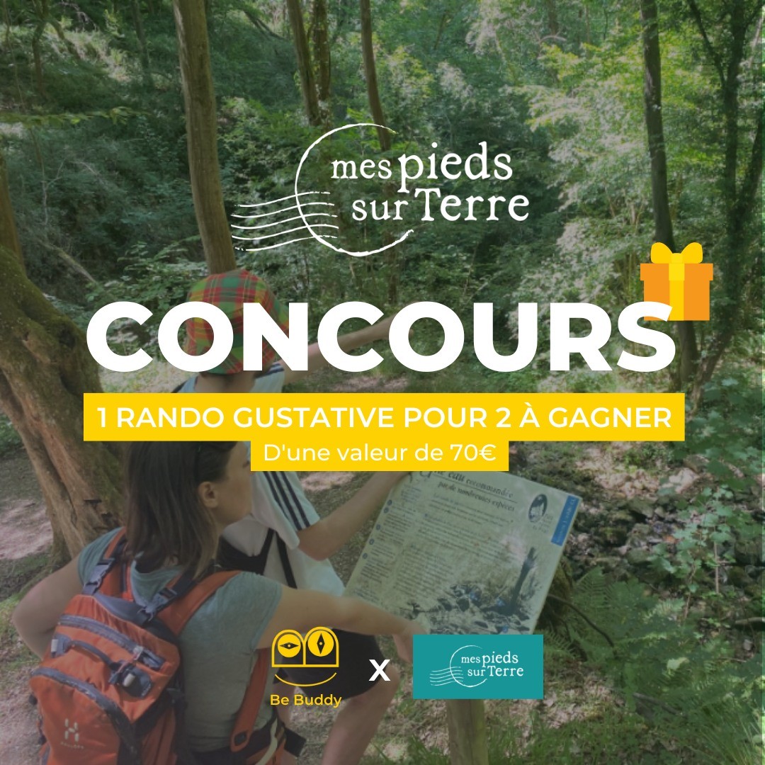 Instagram contest