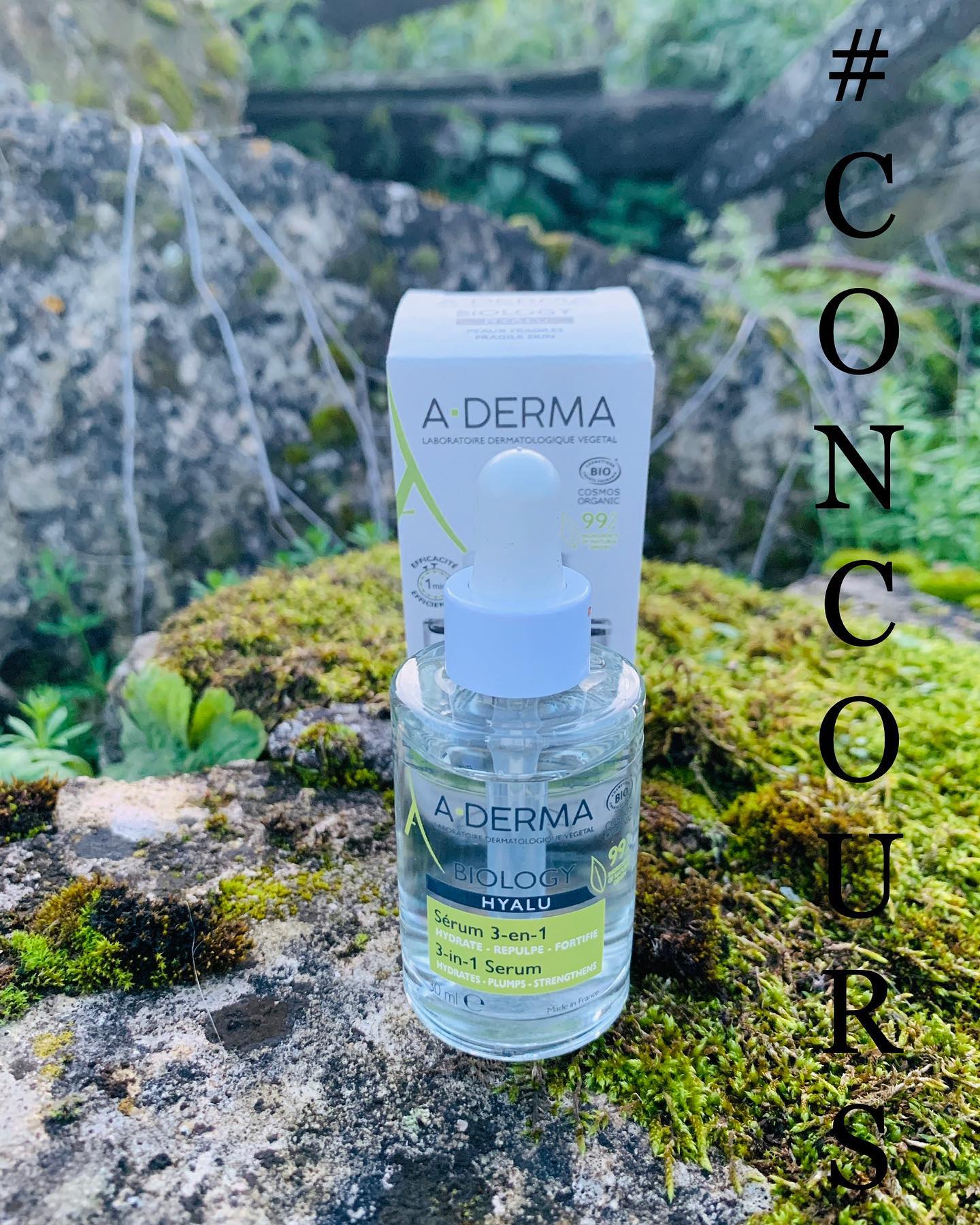 Instagram contest