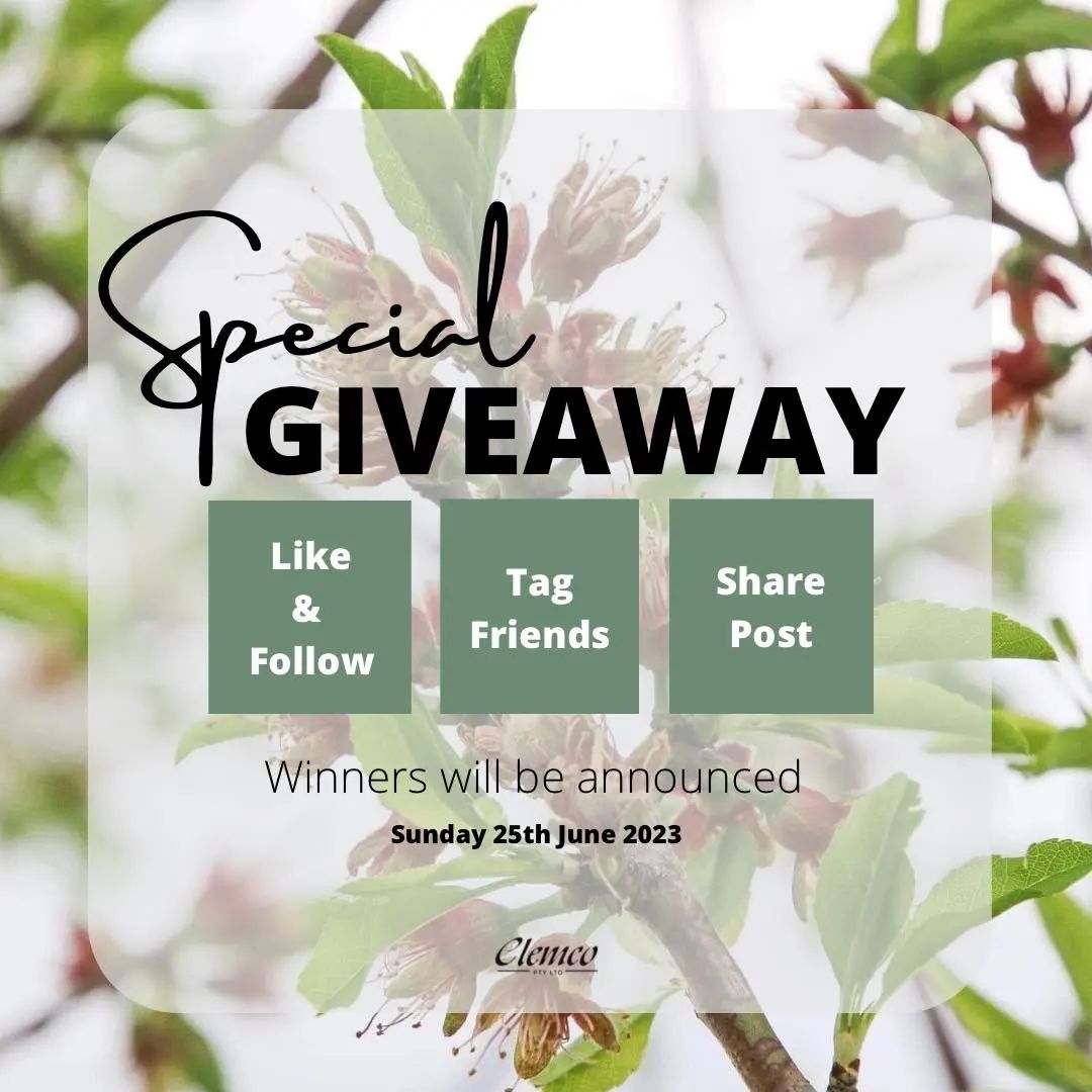 Instagram contest