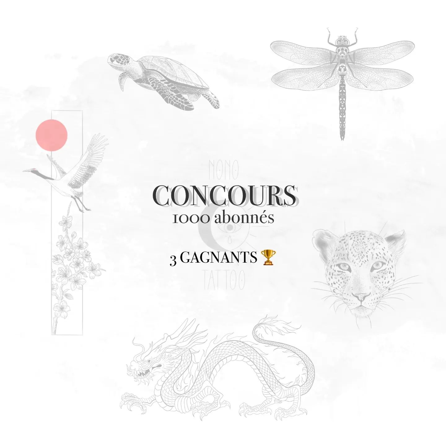 Instagram contest