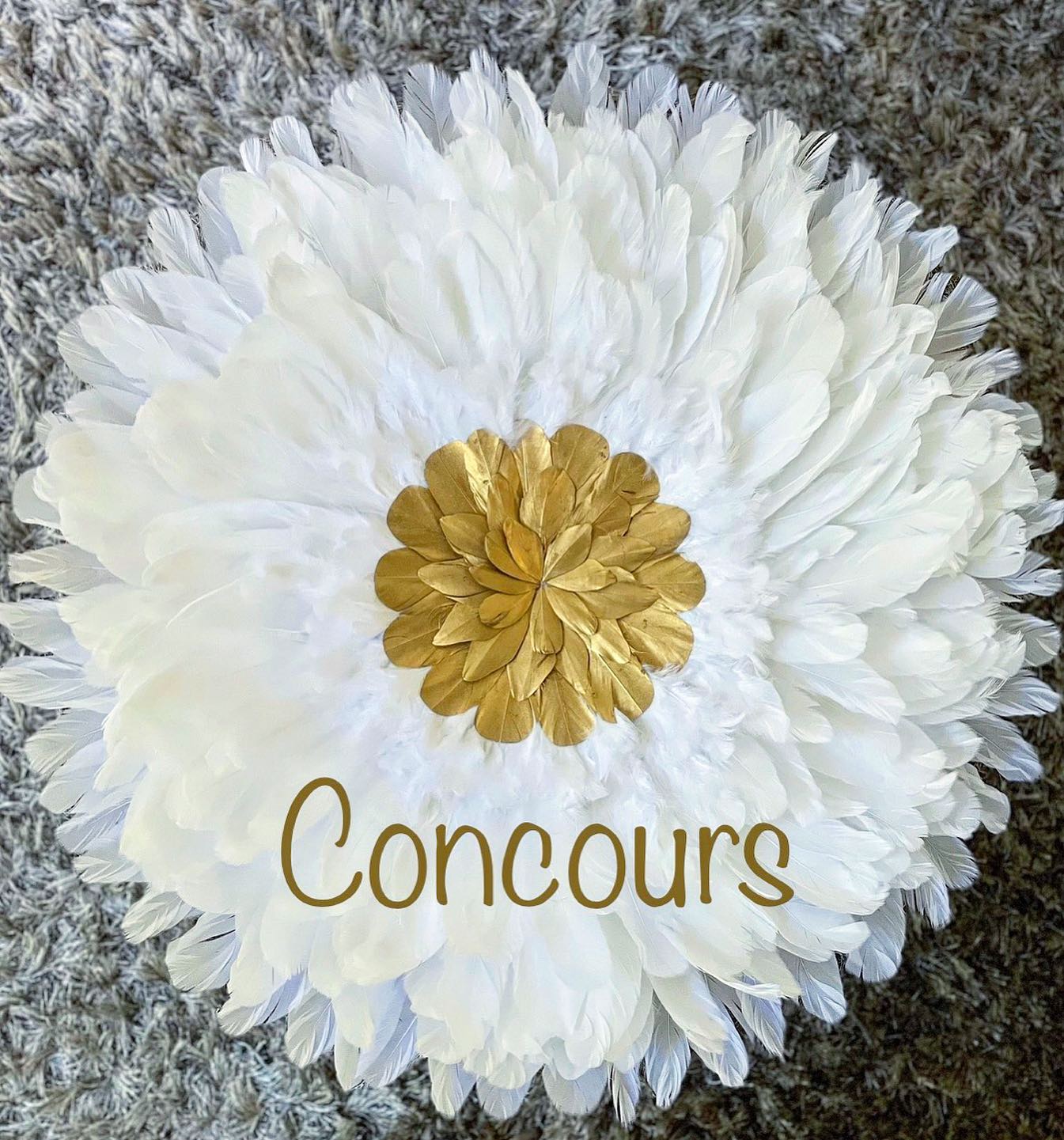 Instagram contest