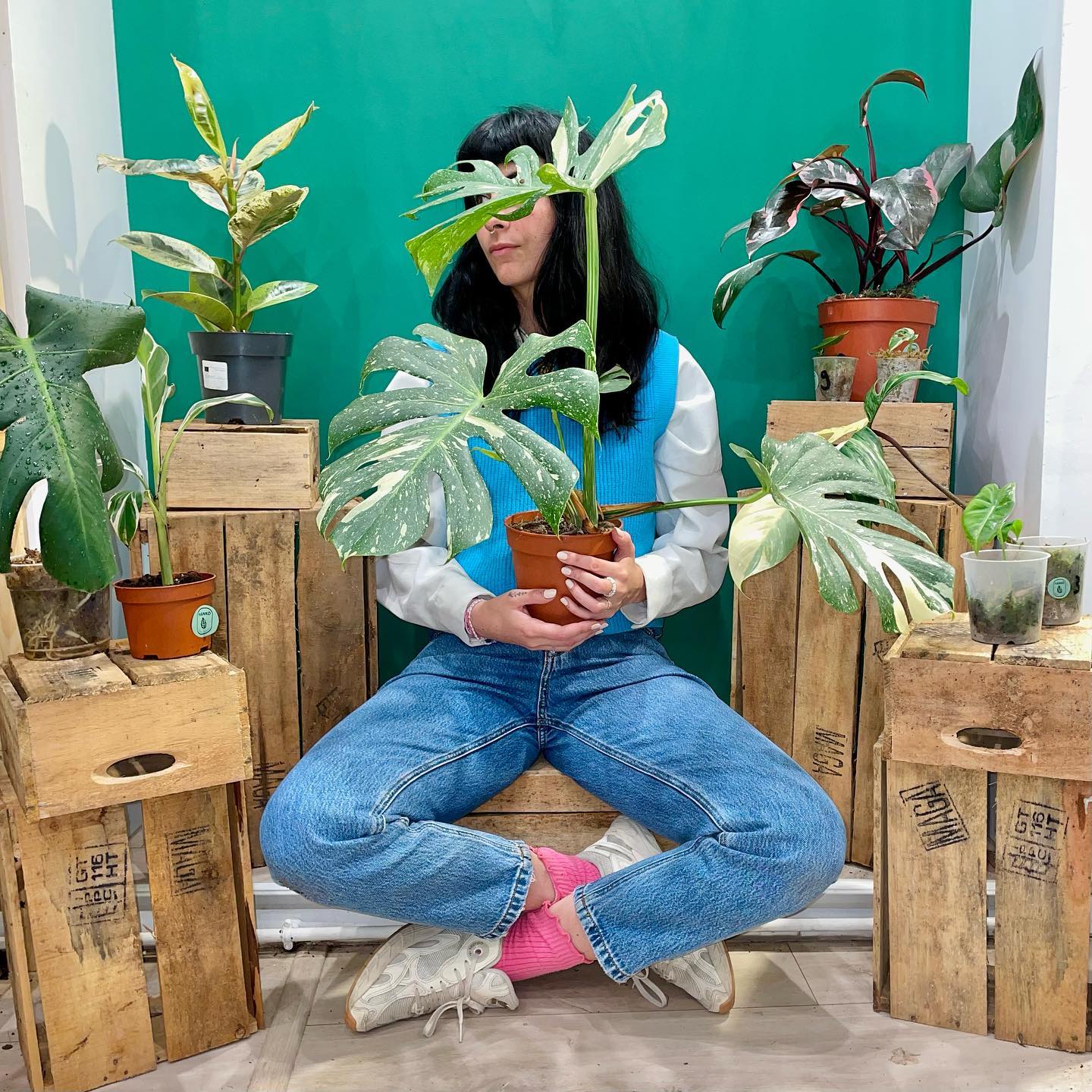 Instagram contest