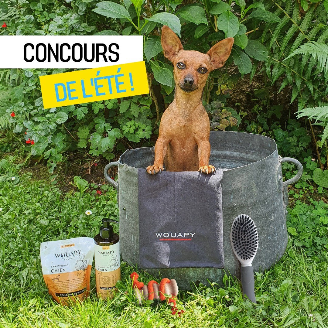 Instagram contest