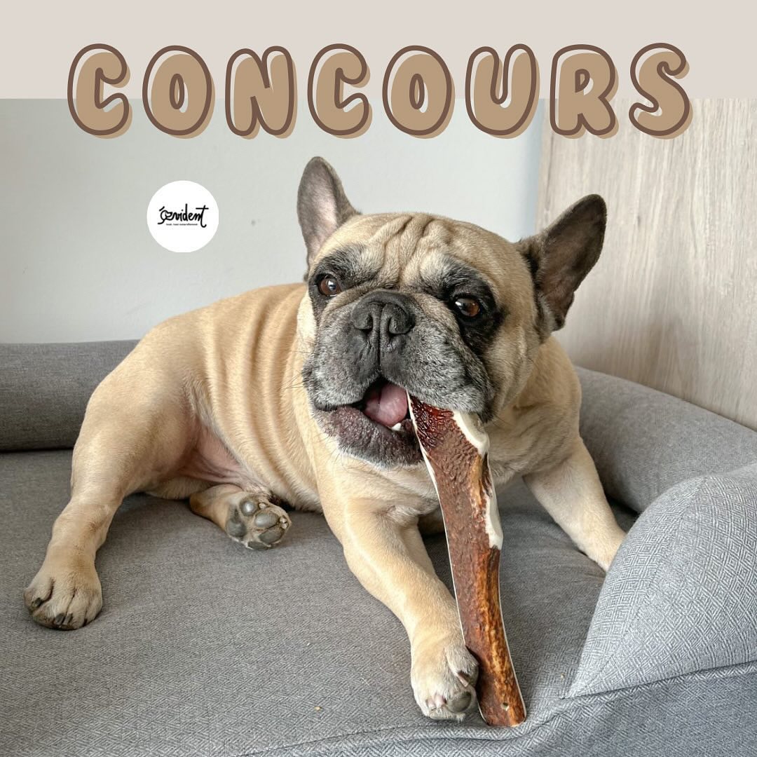 Instagram contest