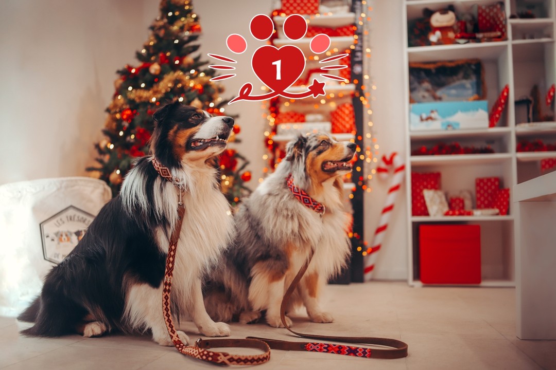 instagram contest