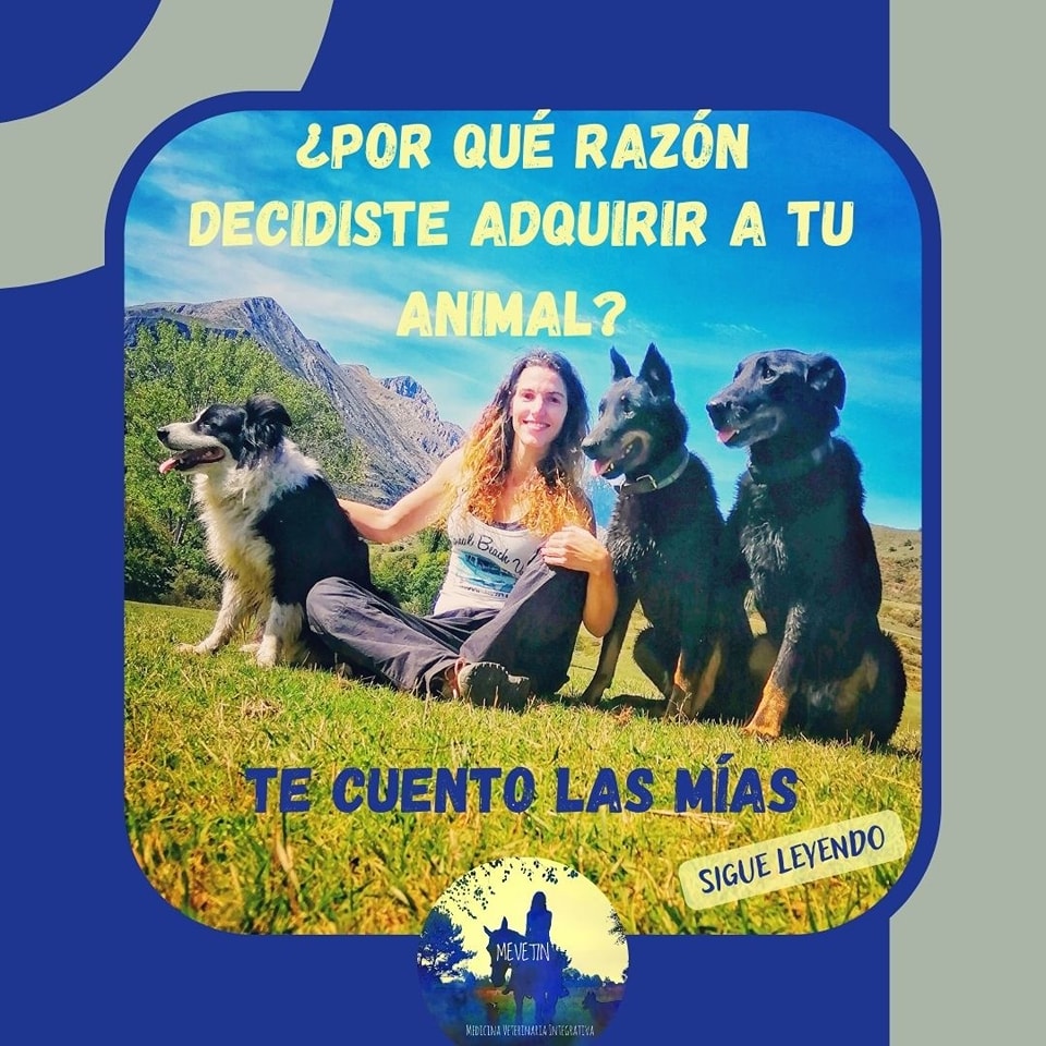Instagram contest