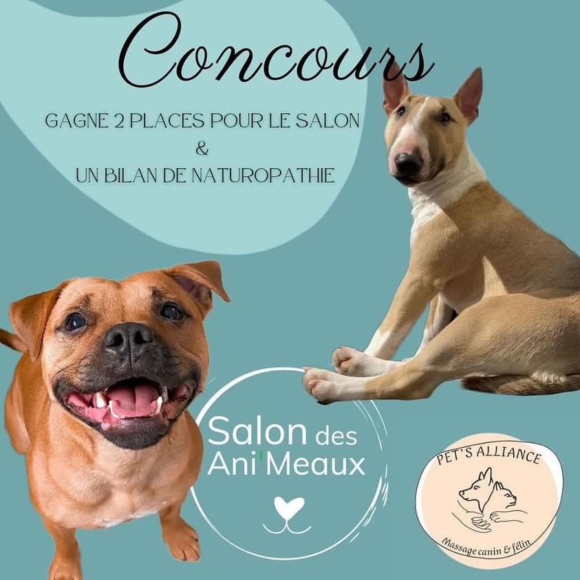 Instagram contest