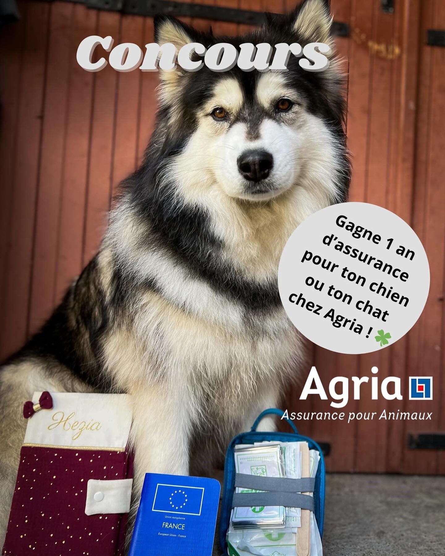 Instagram contest