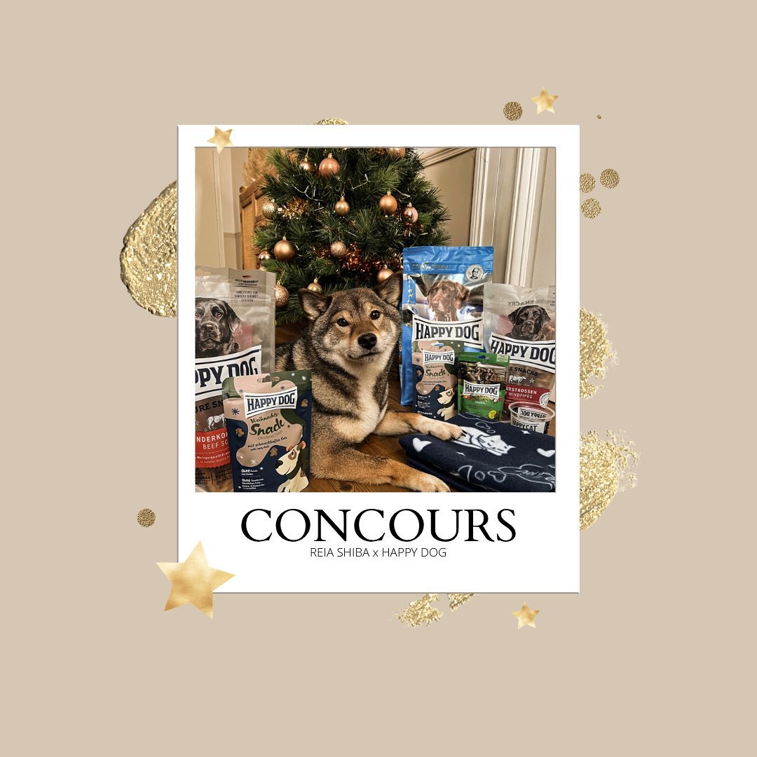 Instagram contest