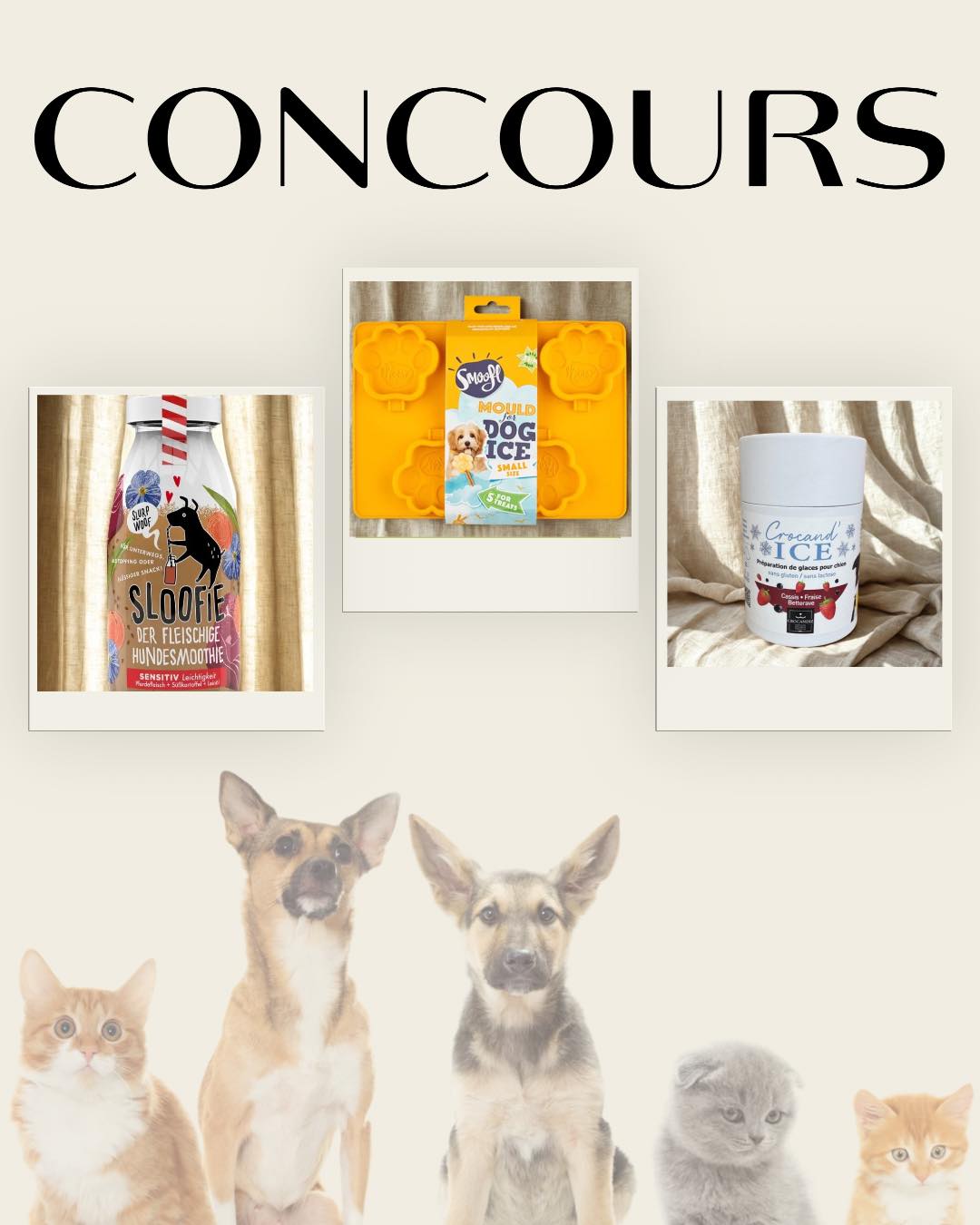 Facebook contest