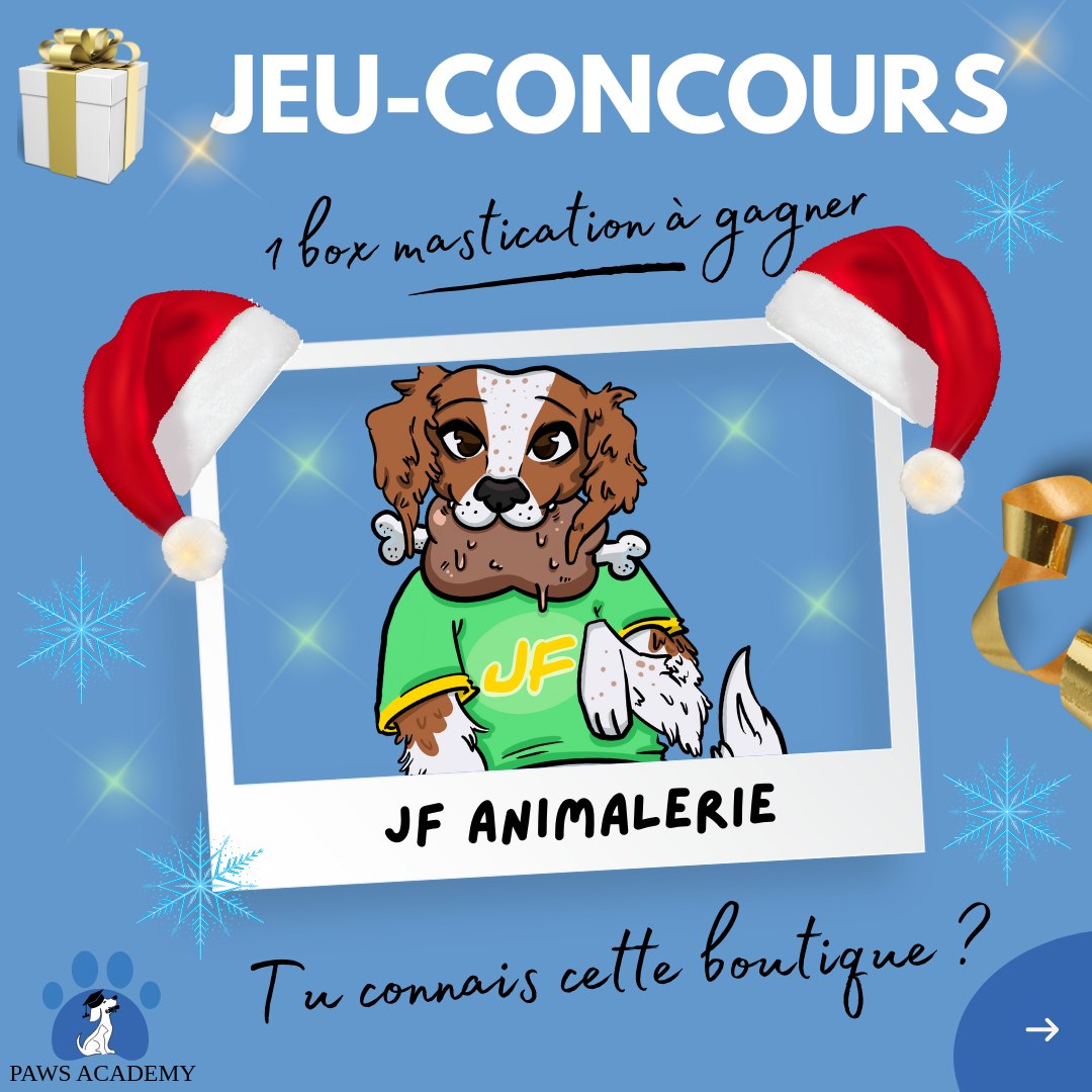 Instagram contest