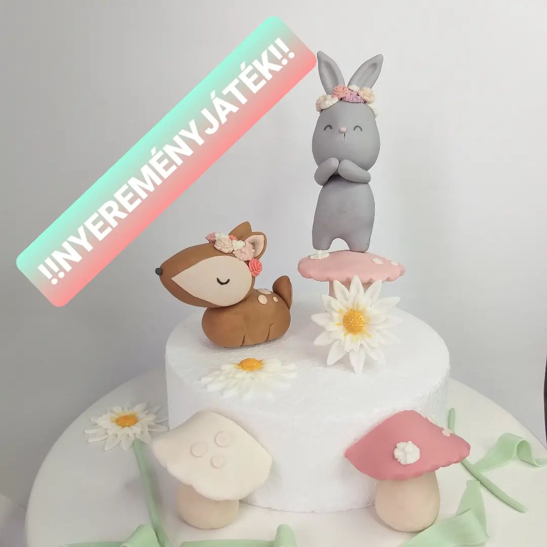 Instagram contest