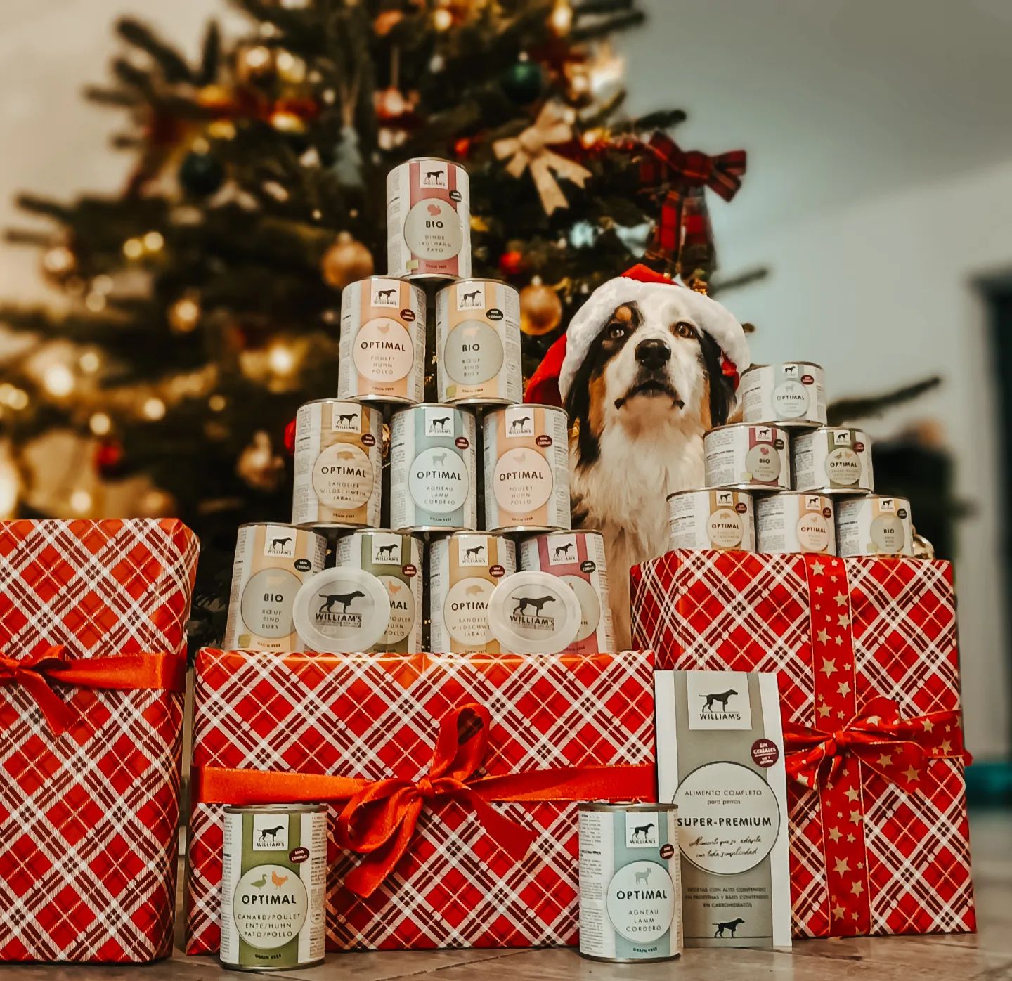 Instagram contest