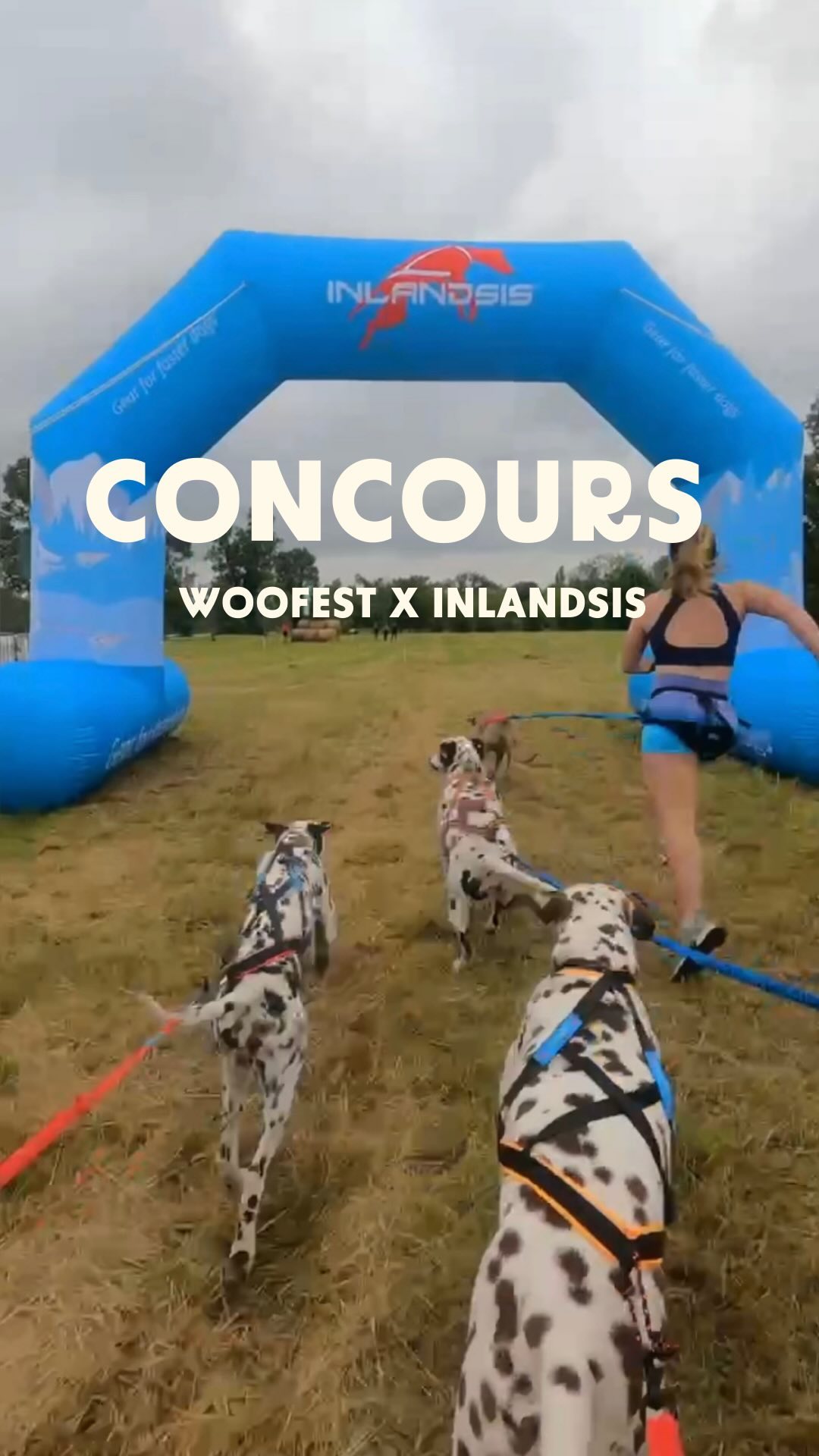 Instagram contest