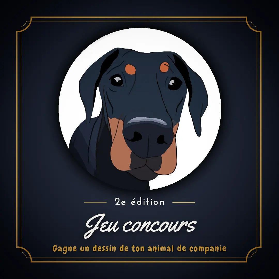 Instagram contest