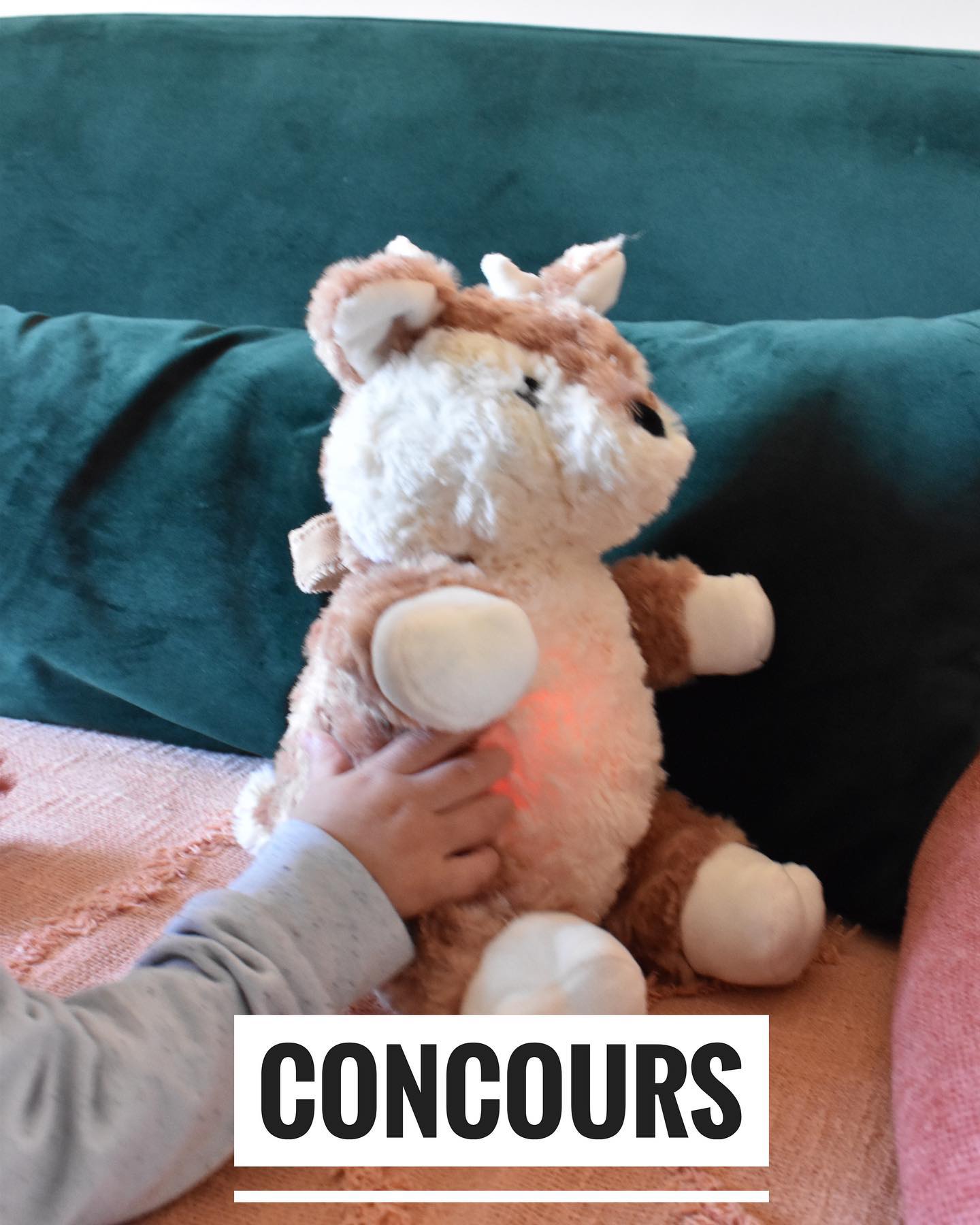 Instagram contest