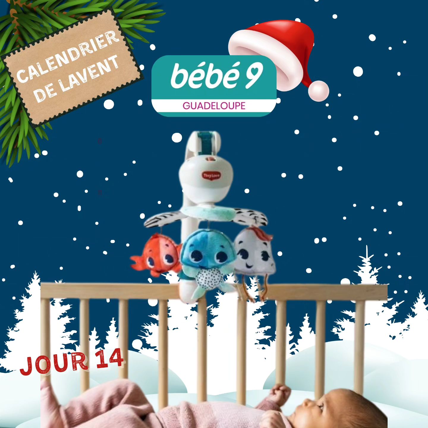 Instagram contest