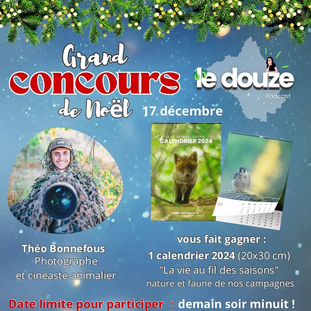 Instagram contest