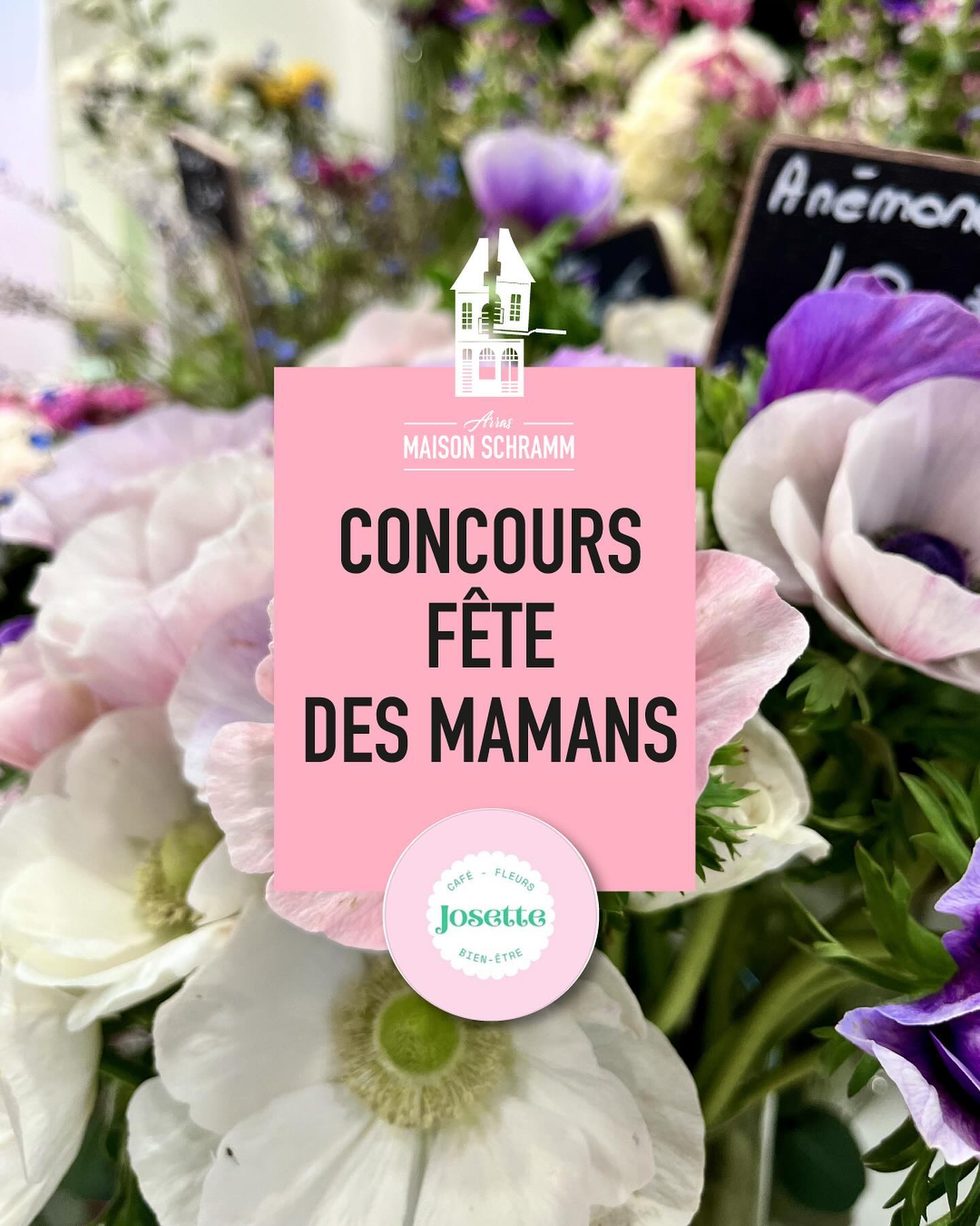 Instagram contest