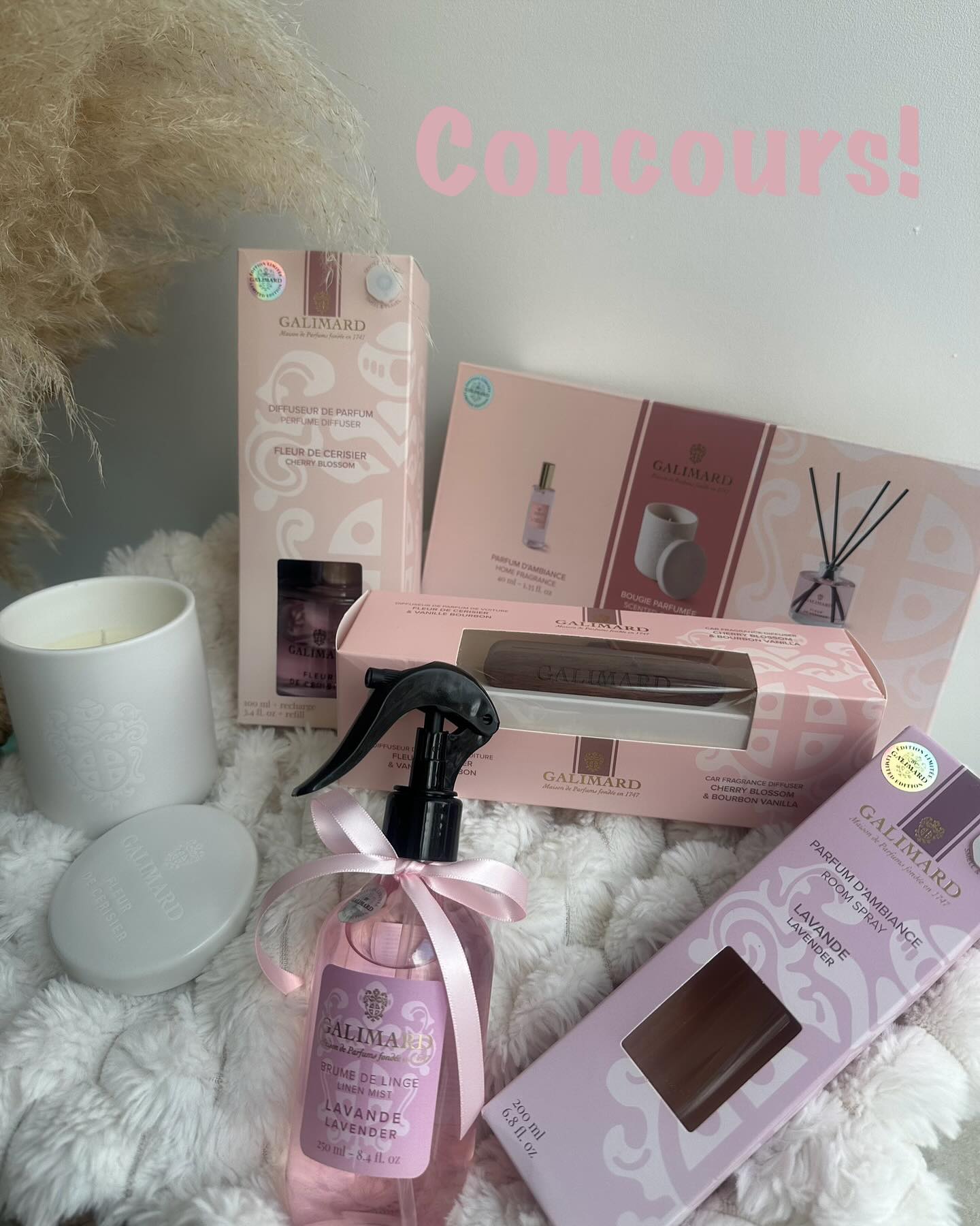 Instagram contest
