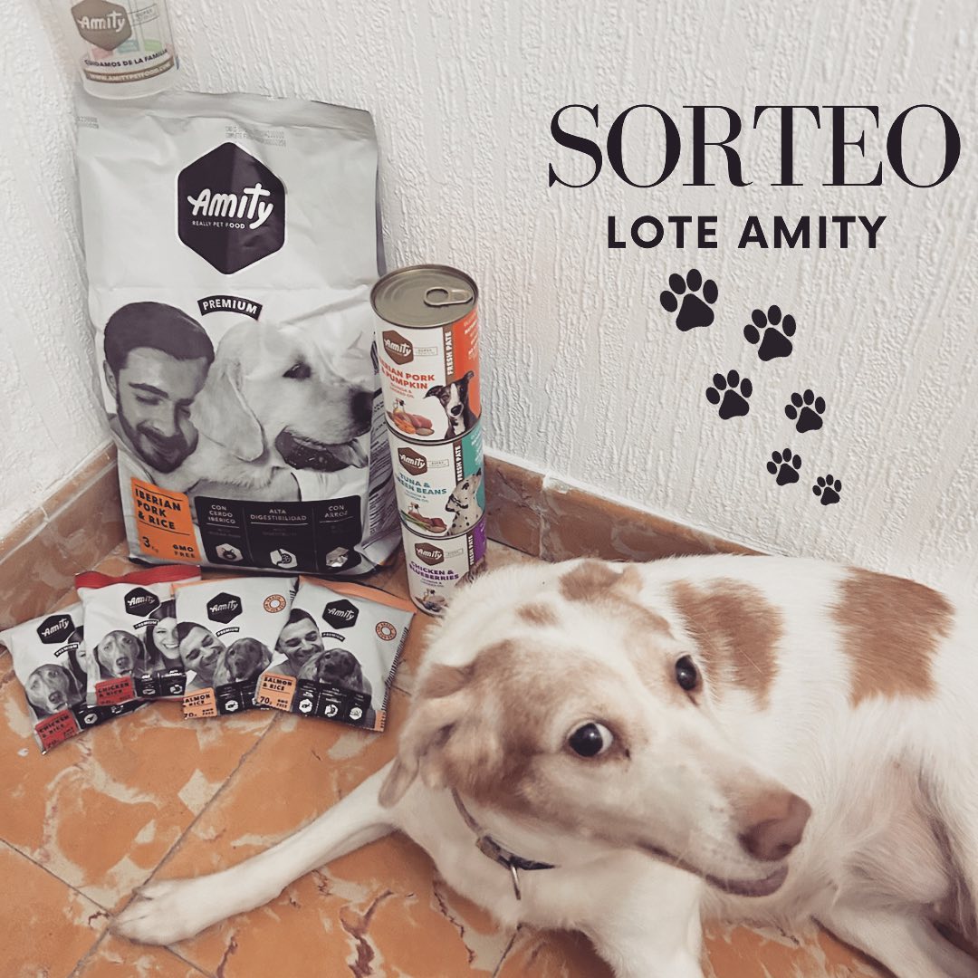 Instagram contest