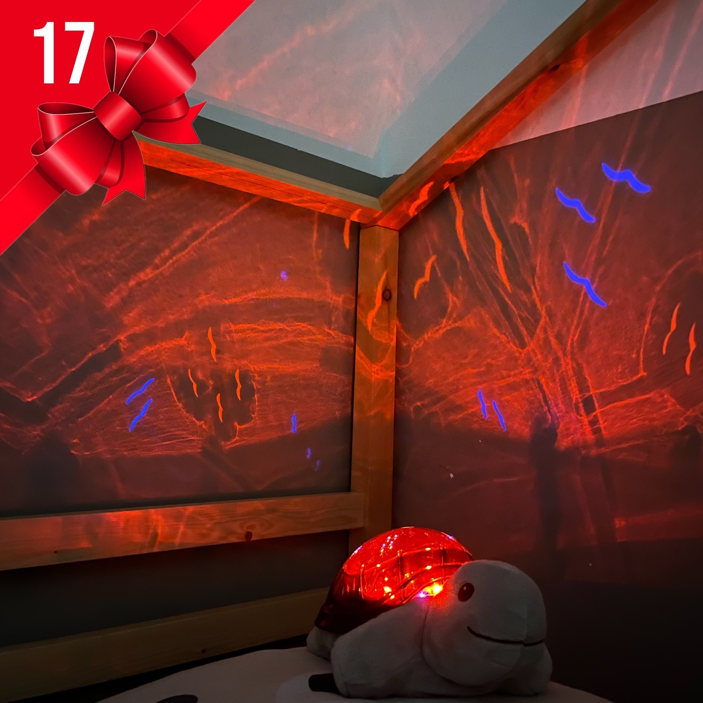 Instagram contest