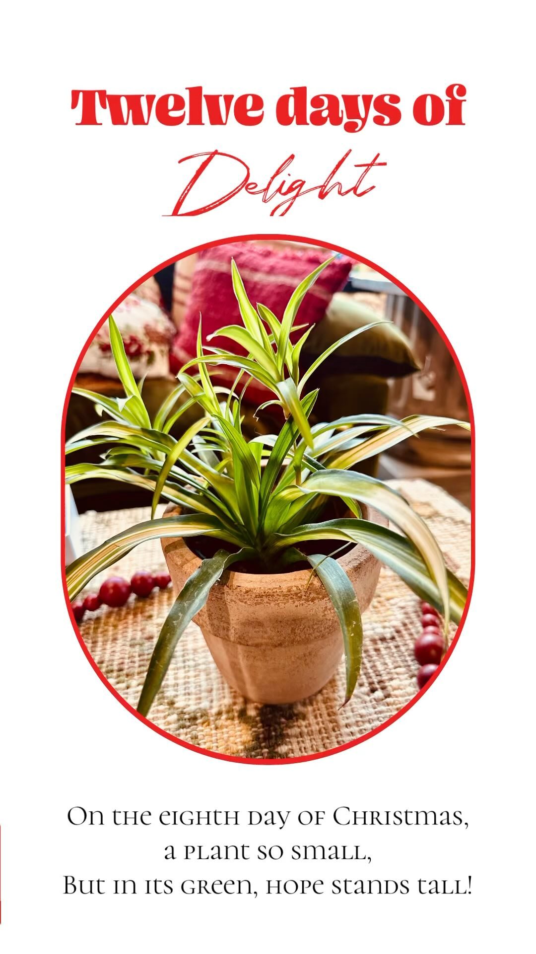 Instagram contest