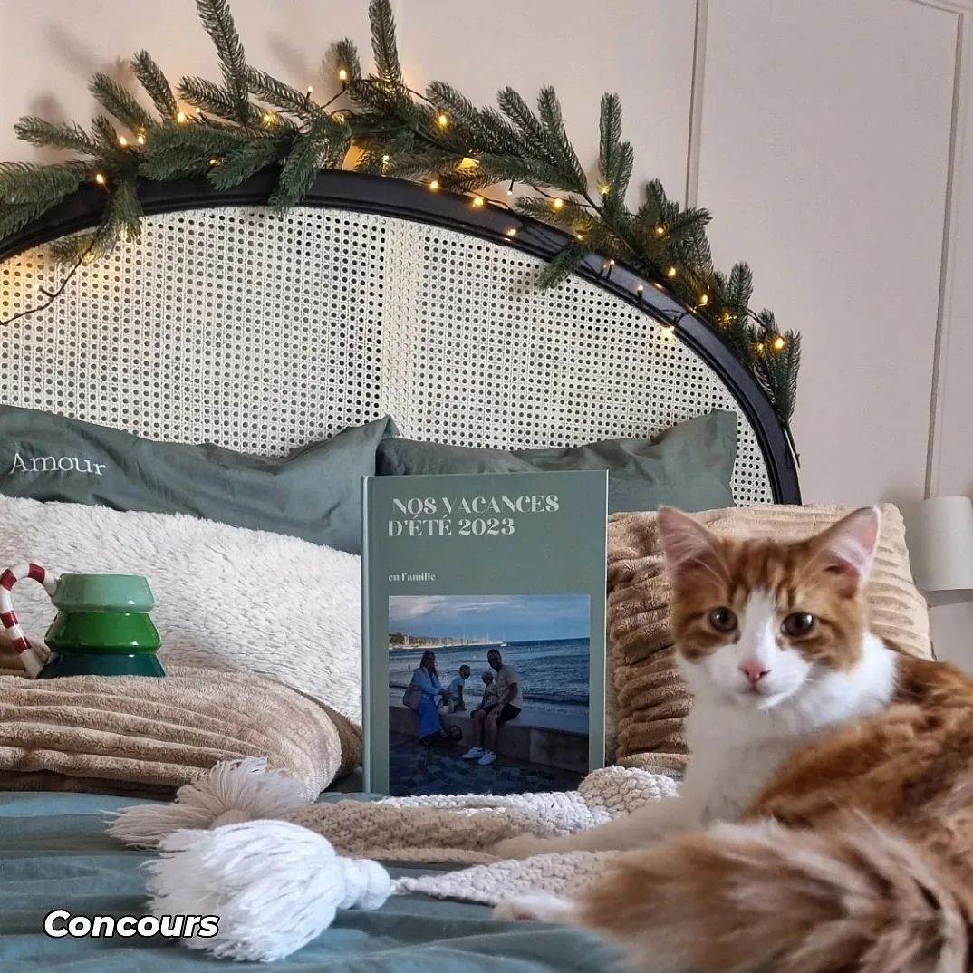 Instagram contest