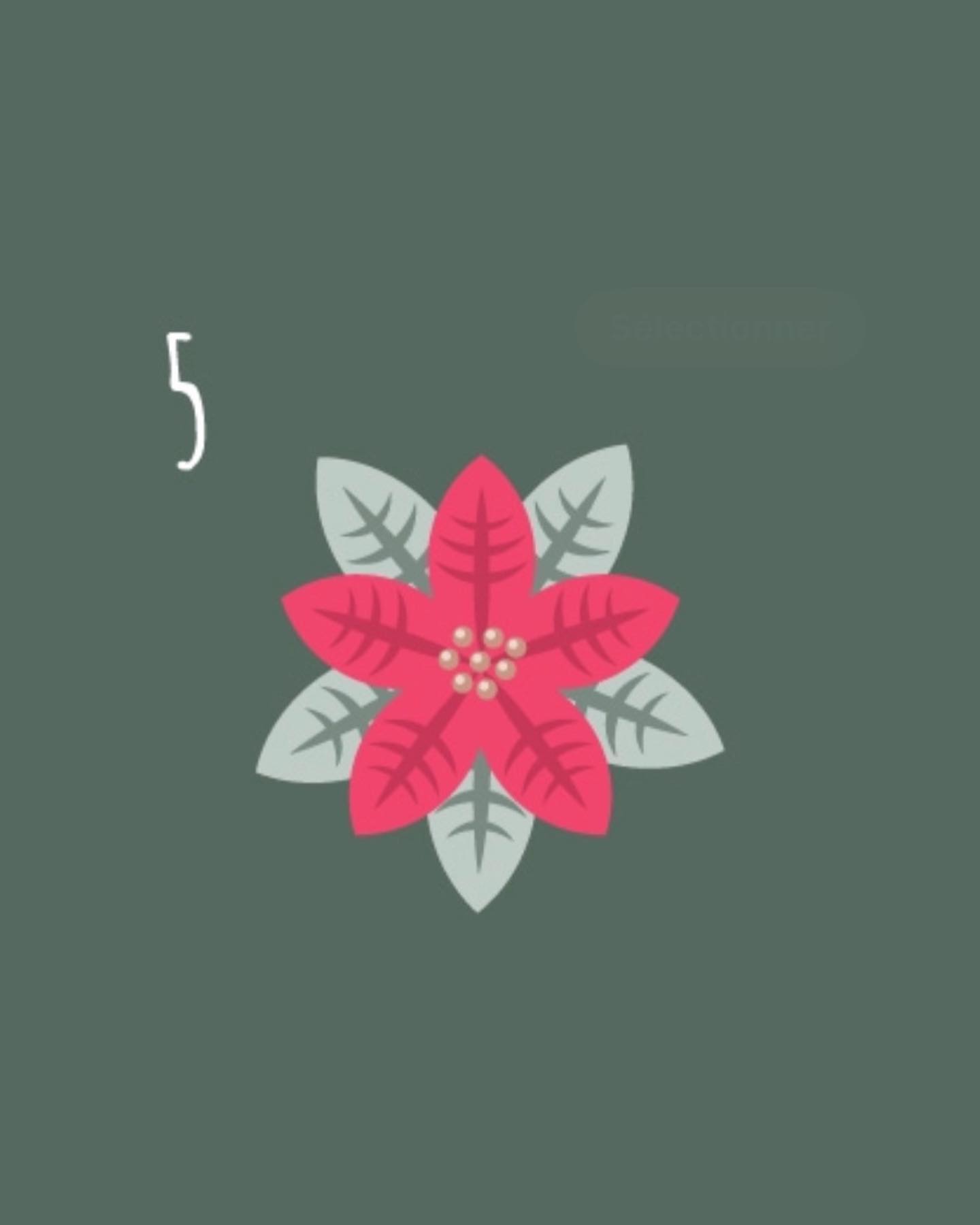 Instagram contest
