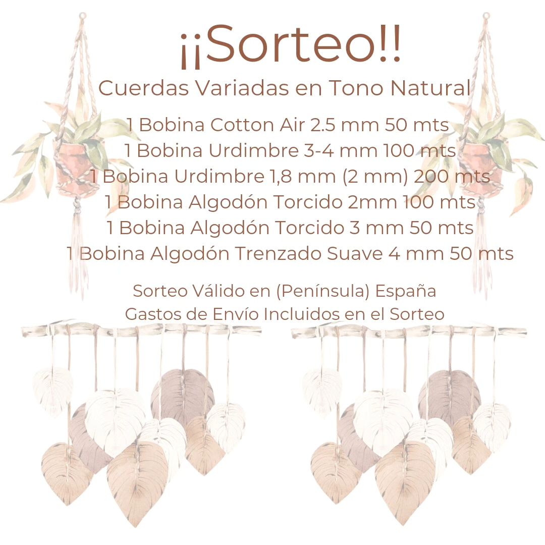 Instagram contest