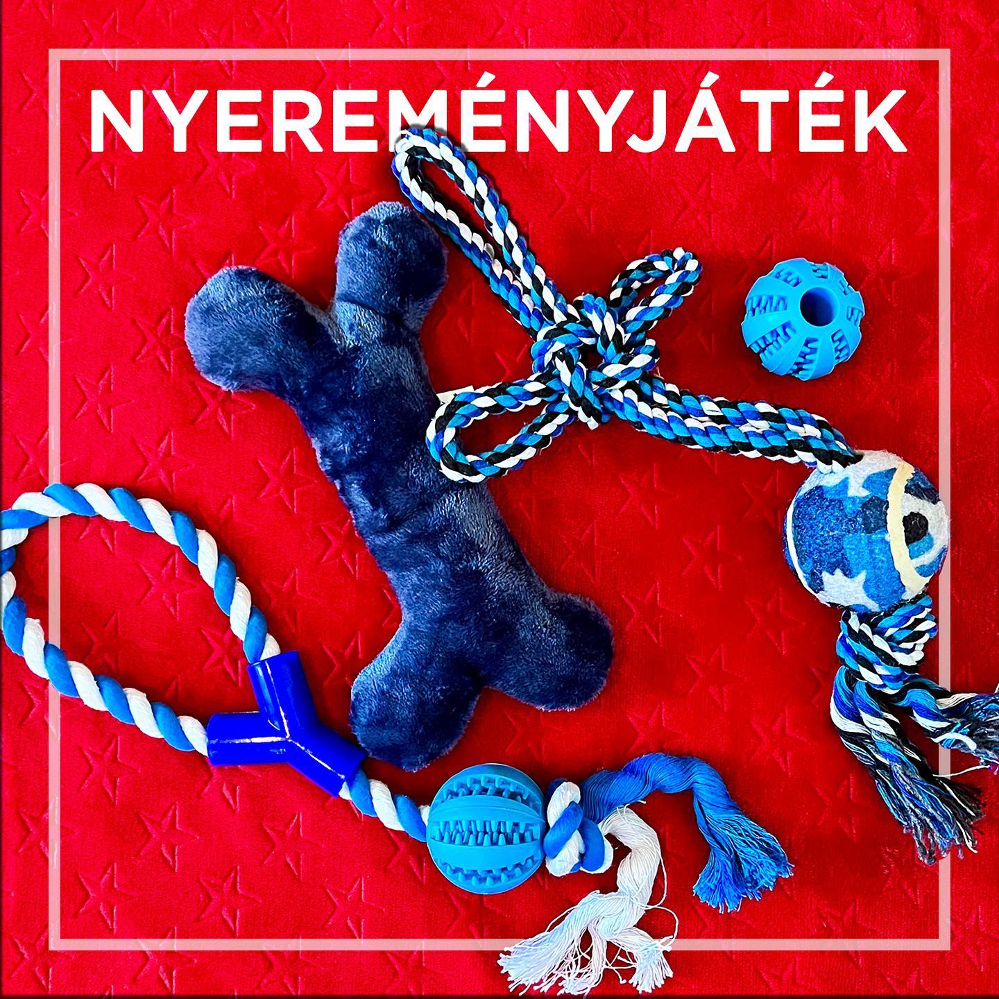Instagram contest