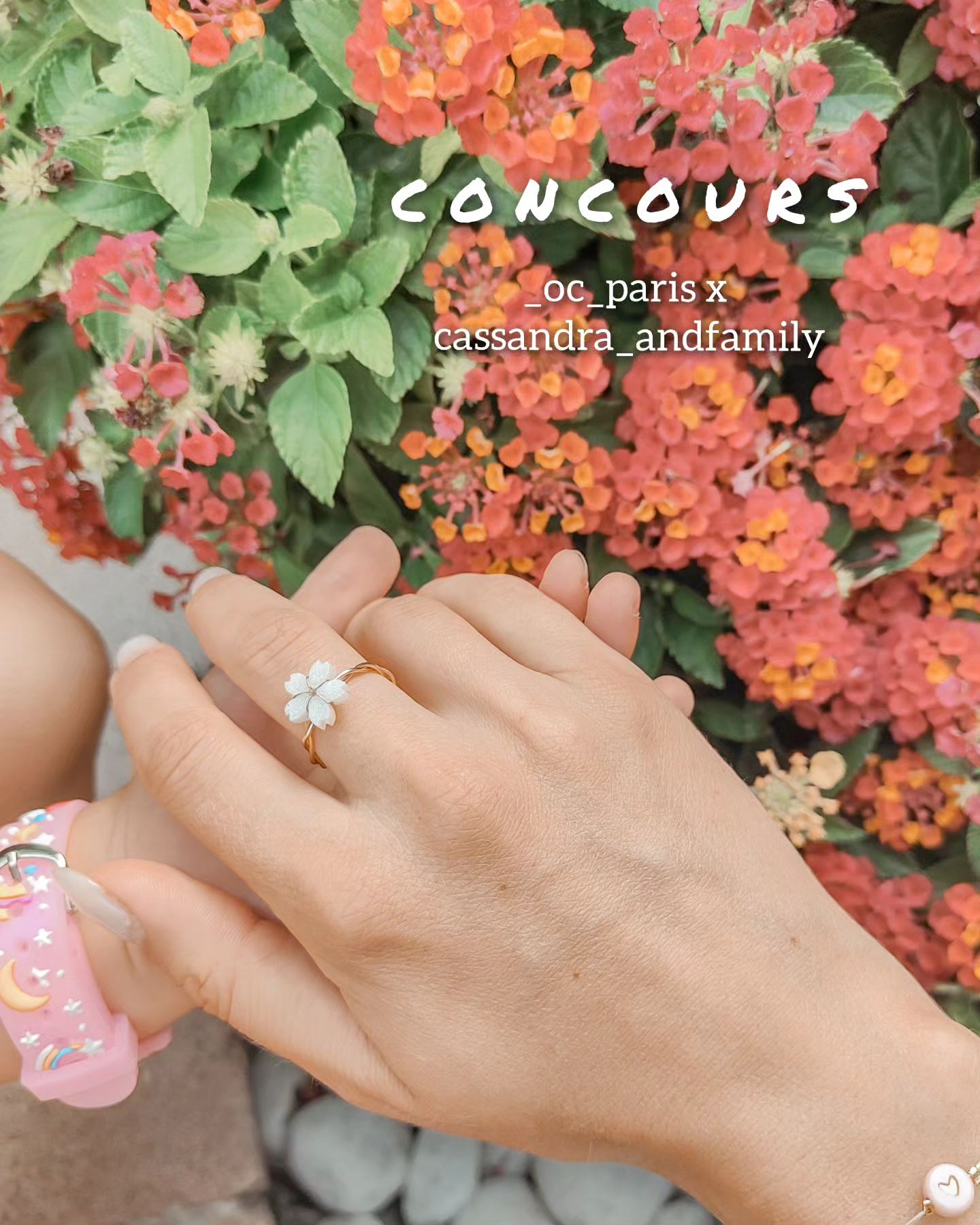 Instagram contest