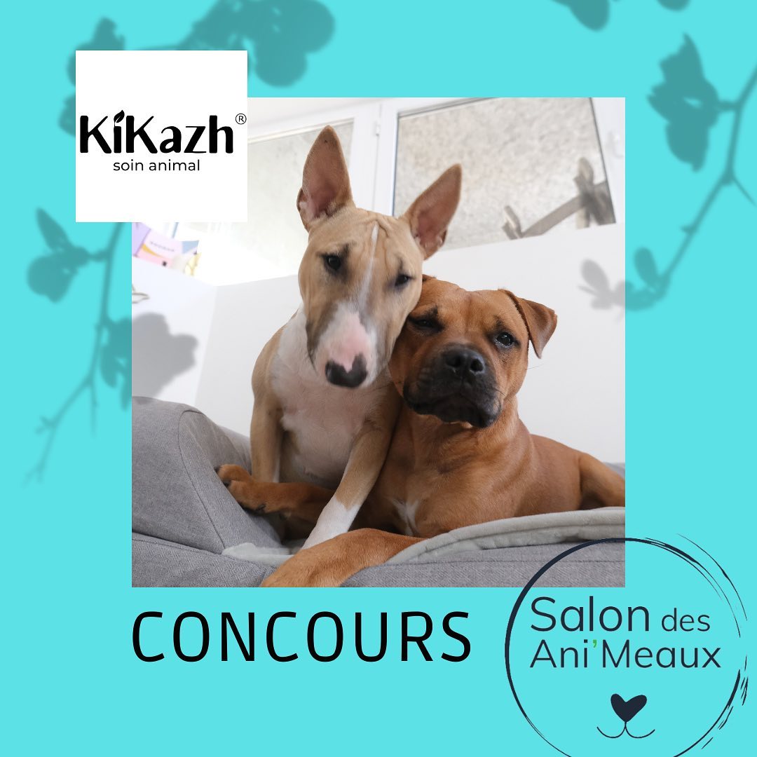 Instagram contest