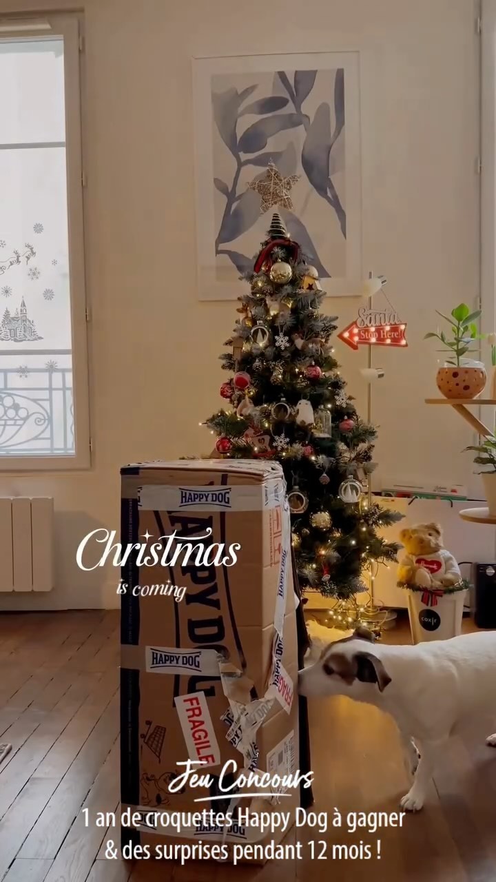 Instagram contest