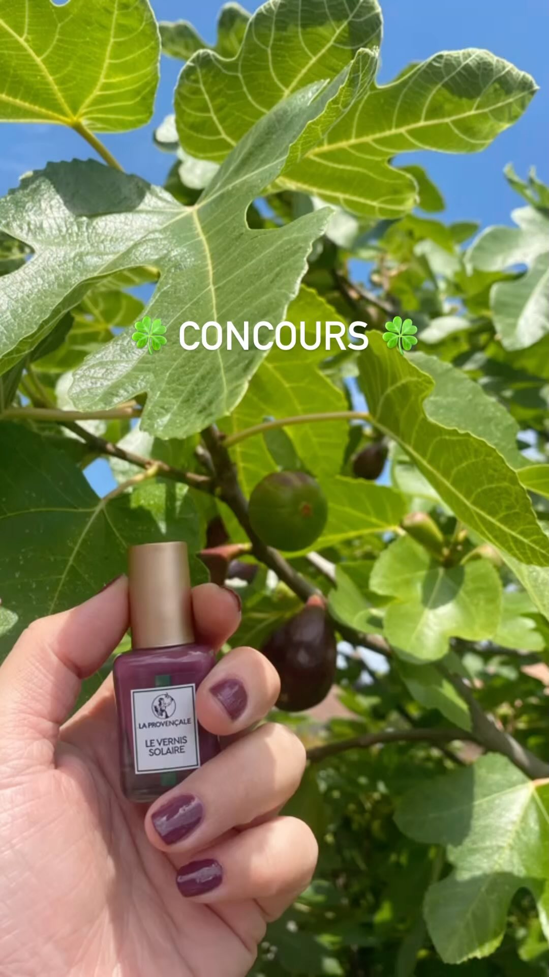 Instagram contest
