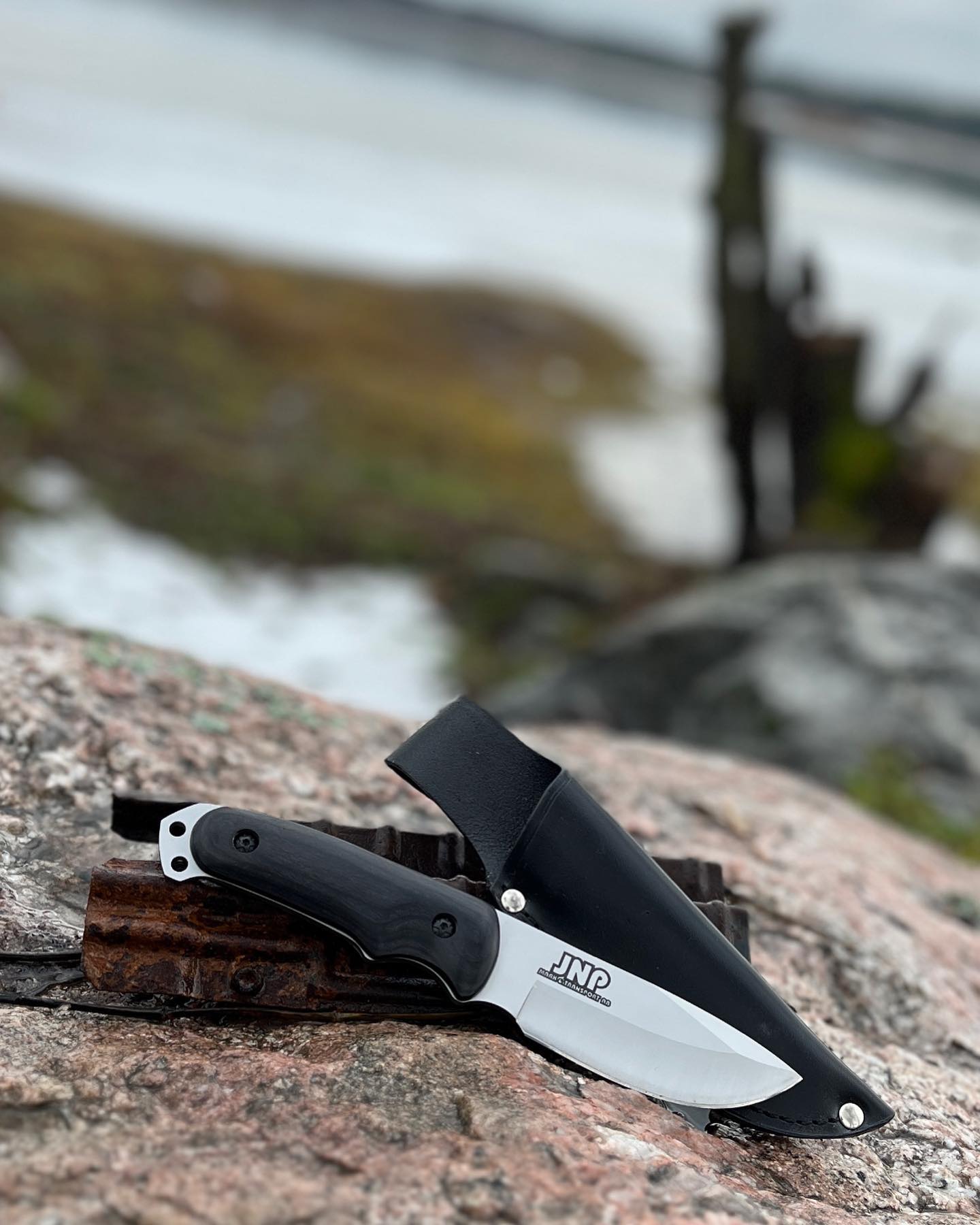 instagram contest