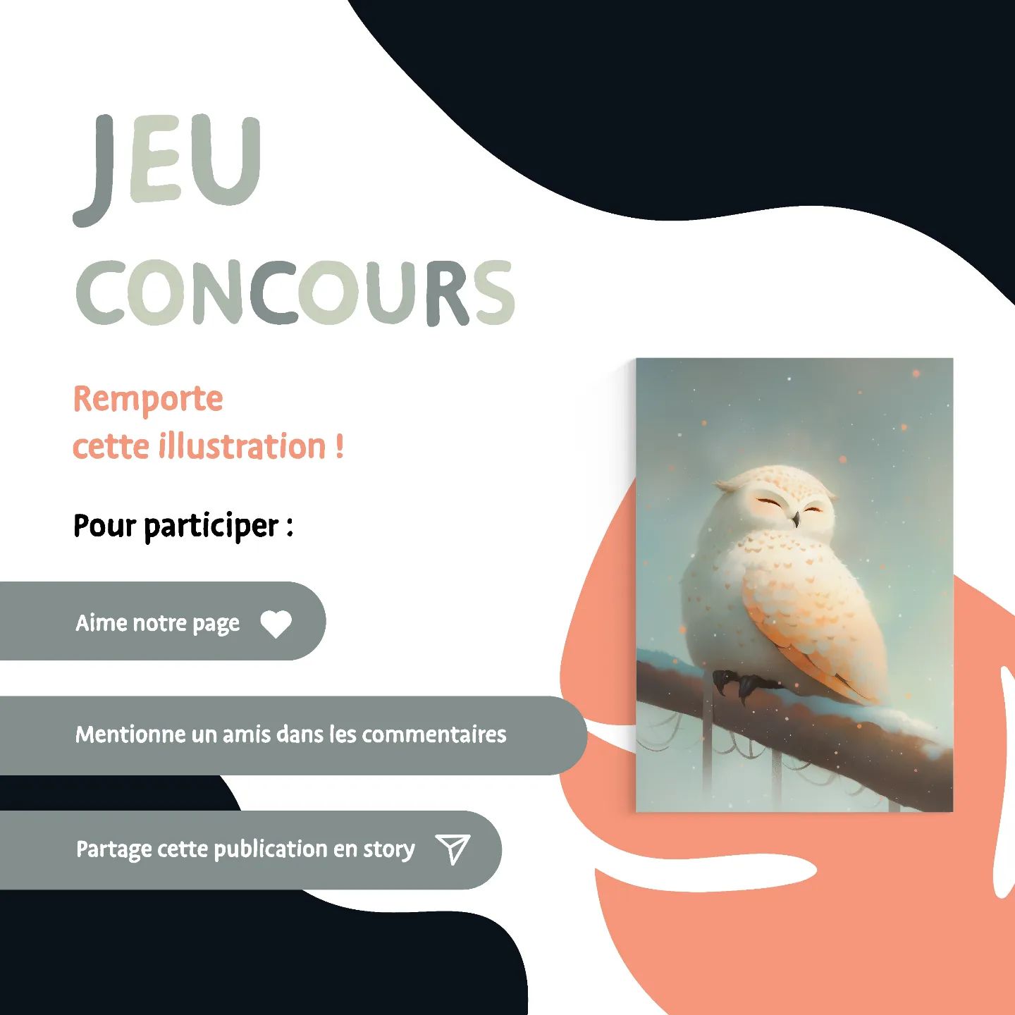 Instagram contest