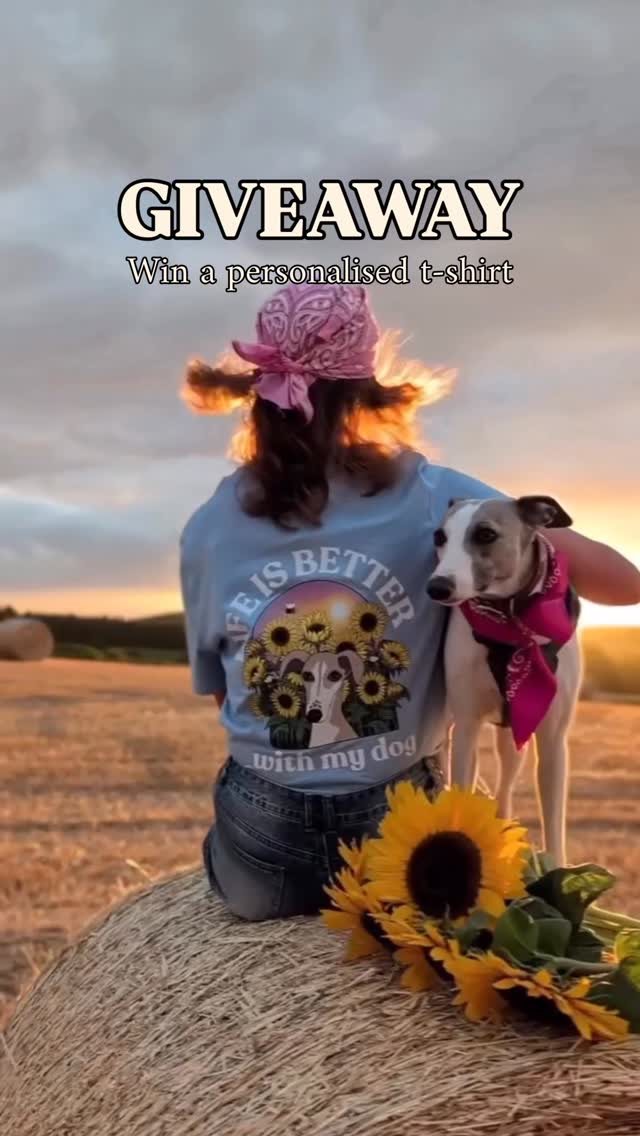 Instagram contest
