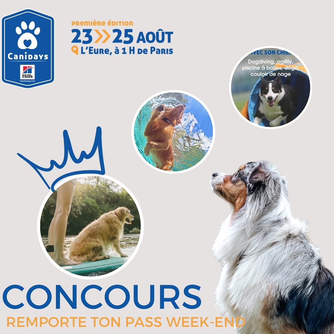 Instagram contest