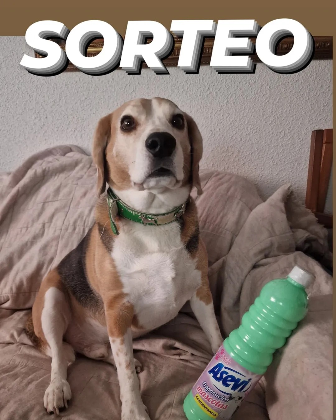 Instagram contest
