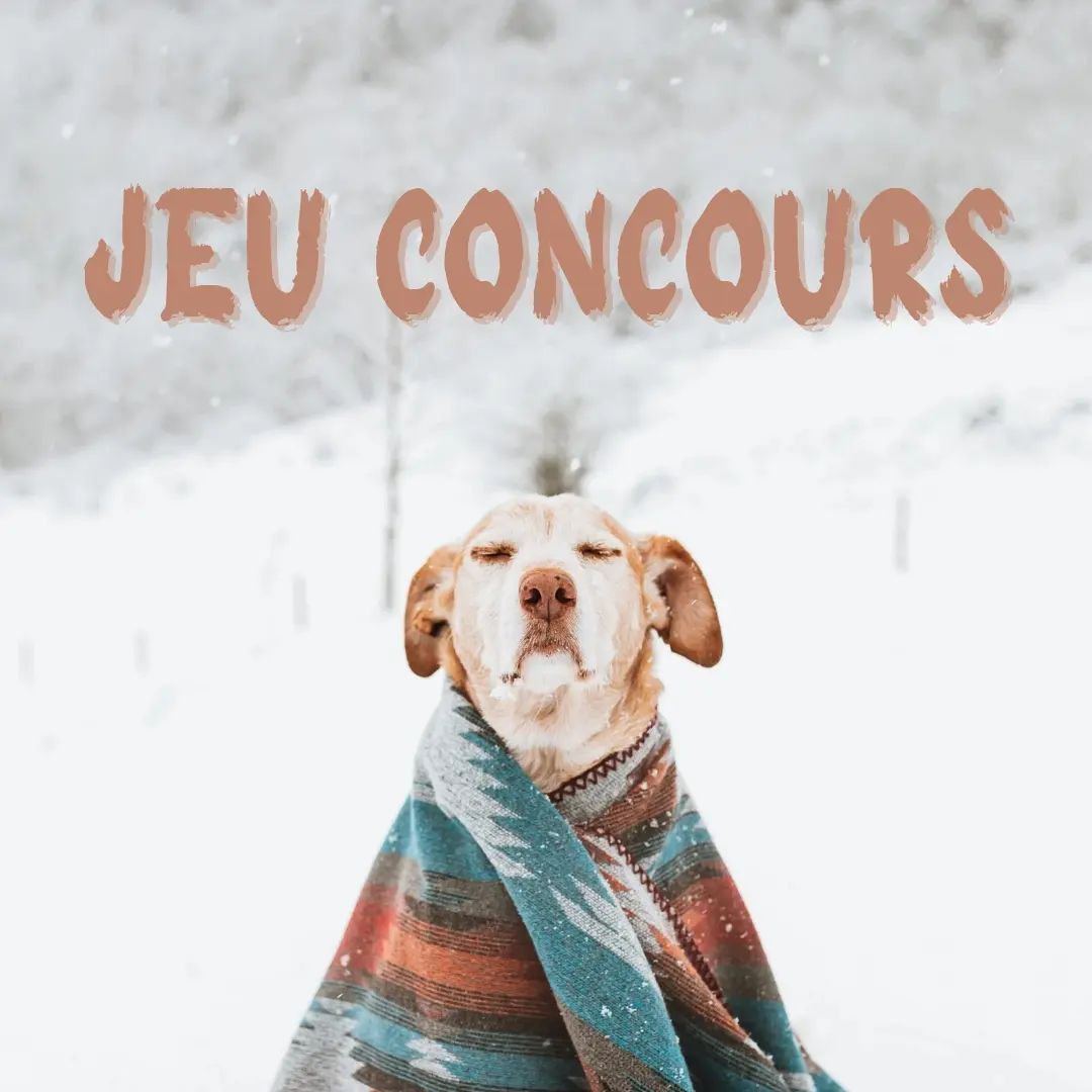 Instagram contest