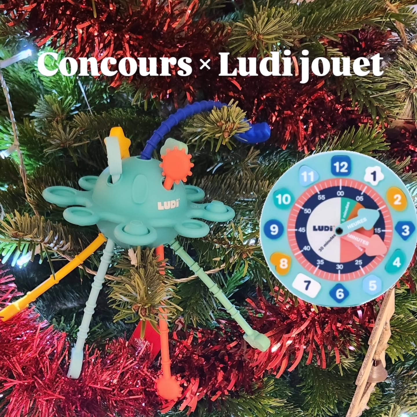 Instagram contest