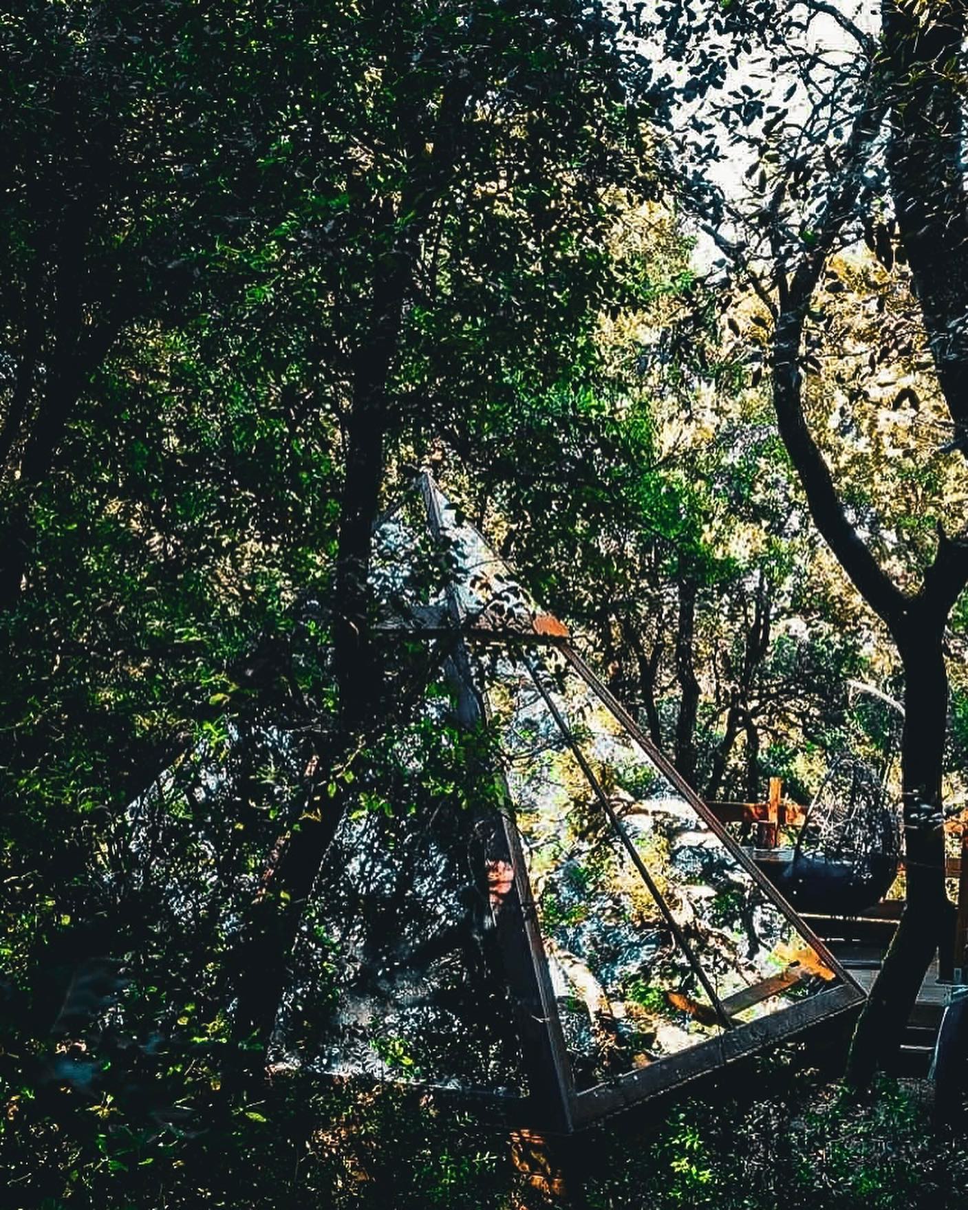 Instagram contest