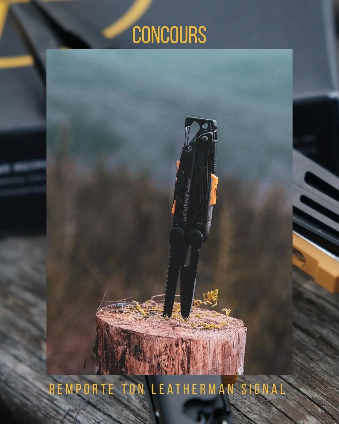 Instagram contest
