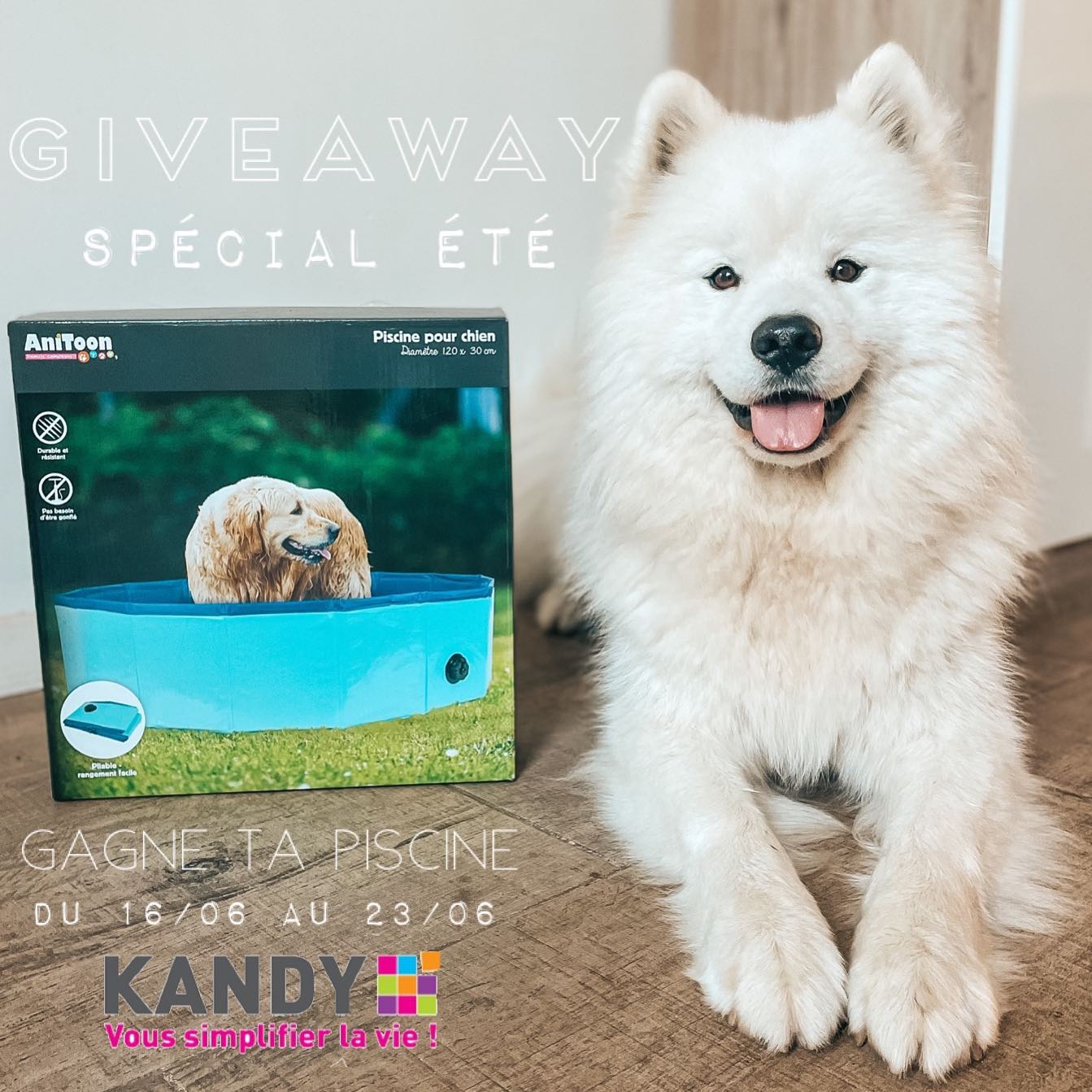 Instagram contest
