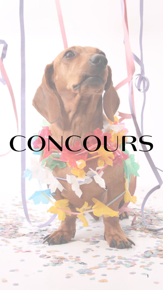 Instagram contest