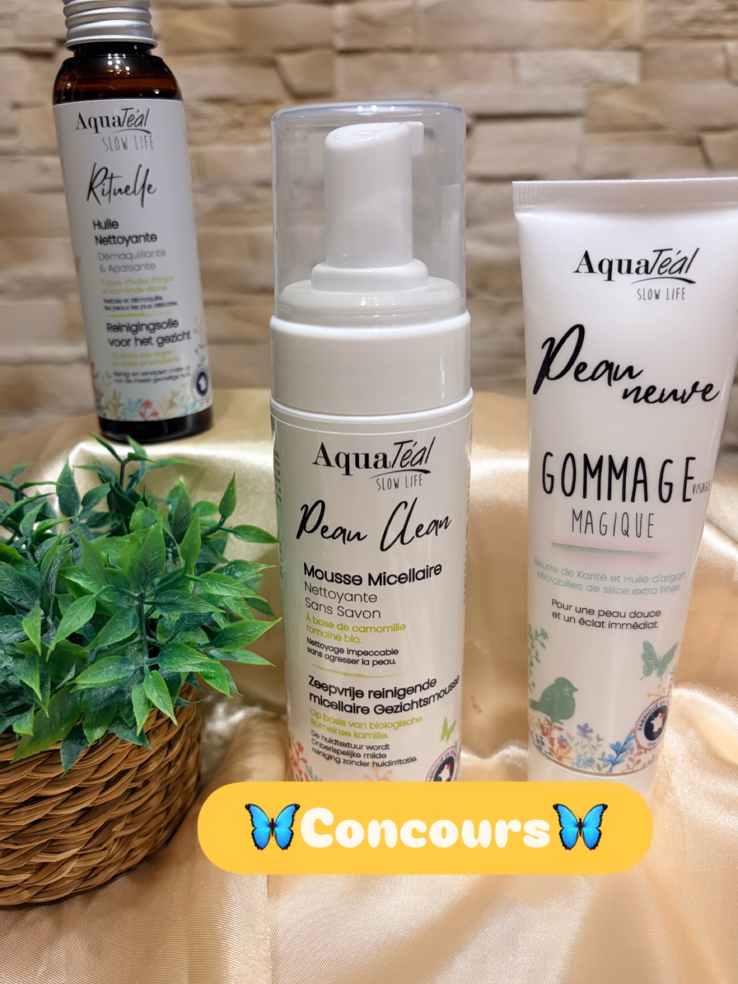 Instagram contest